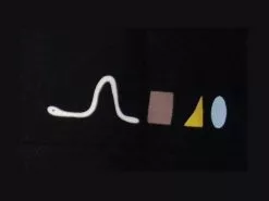 Pure Gear Camiseta Chik Le Vers Negro 7 Pure Gear Camiseta Chik Le Vers Negro -Bicicleta Ventas 149092