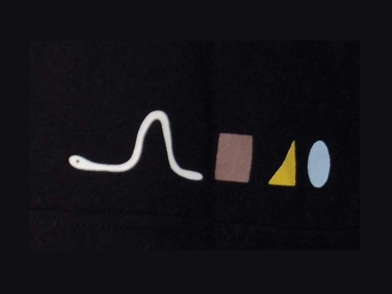 Pure Gear Camiseta Chik Le Vers Negro 5 Pure Gear Camiseta Chik Le Vers Negro - Imagen 3