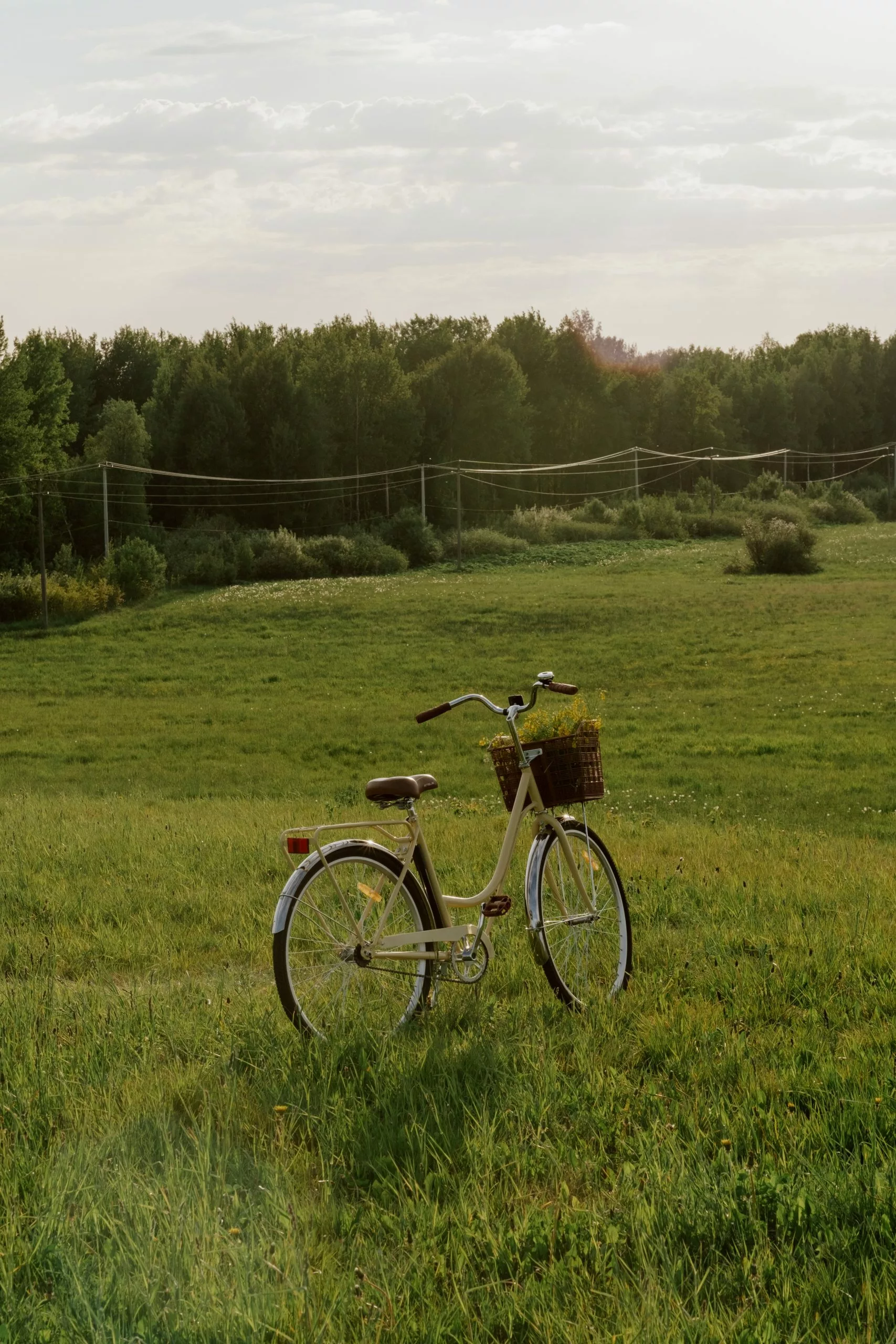 Bicicleta Ventas -Bicicleta Ventas pexels ron lach 10211886 scaled