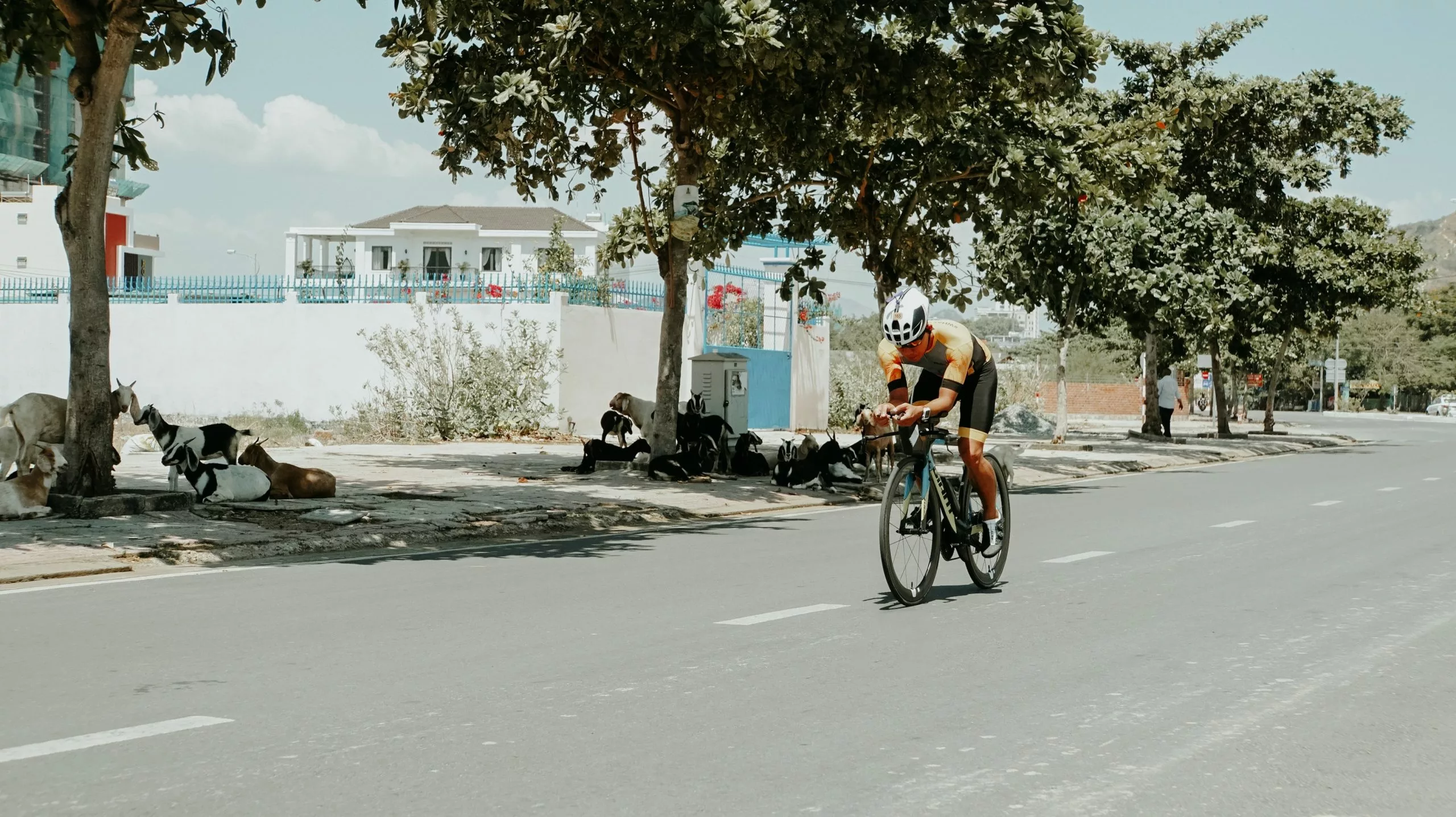 Bicicleta Ventas -Bicicleta Ventas pexels tony pham 4940842 scaled