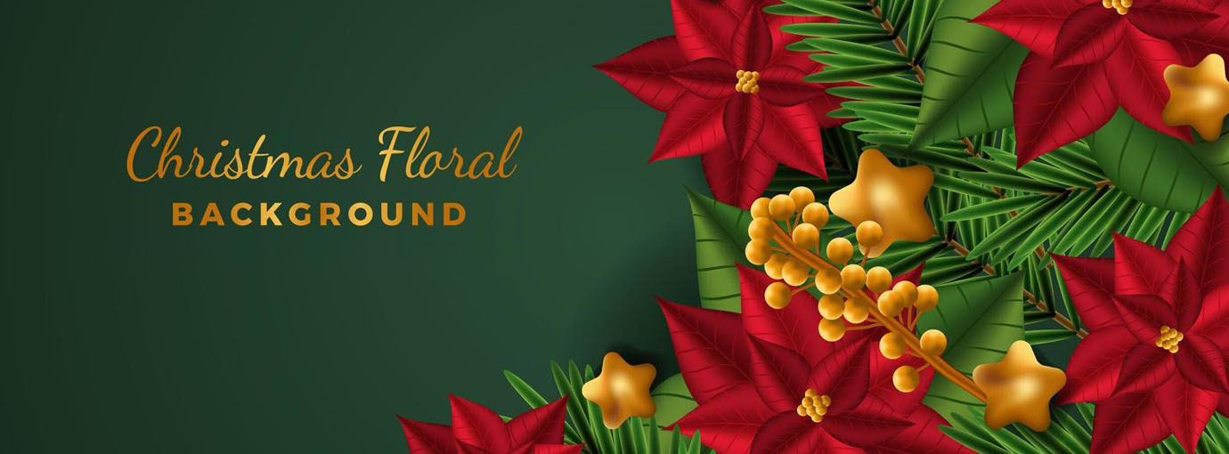 Bicicleta Ventas -Bicicleta Ventas 120 1